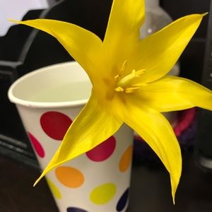 Meet your Posher, Vicki